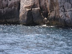 IMG 0071