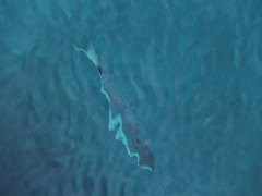 IMG 0076