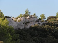 IMG 0001