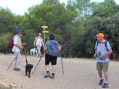 IMG 0011