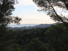 IMG 0012
