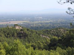 IMG 0016