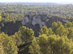 IMG 0006