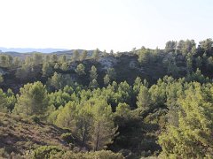 IMG 0007