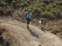 IMG 0010