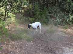 IMG 0018