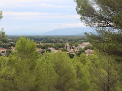 IMG 0008