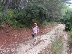 IMG 0010