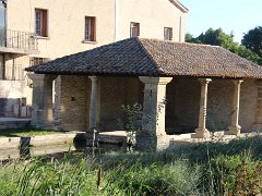 IMG 0003