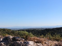 IMG 0017