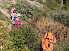 IMG 0019