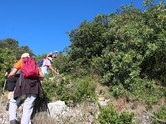 IMG 0023