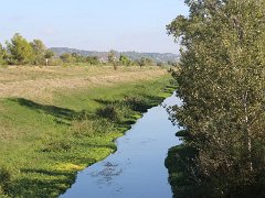 IMG 0004