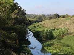 IMG 0005
