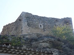 IMG 0004