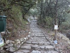 IMG 0009