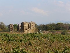 IMG 0013