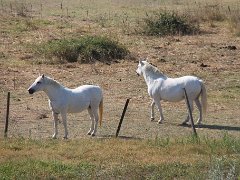 IMG 0014