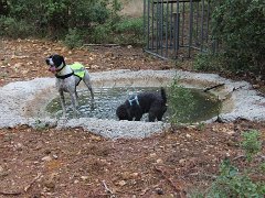 IMG 0005