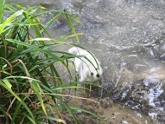 IMG 20261004 103327