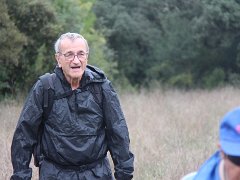 IMG 0013